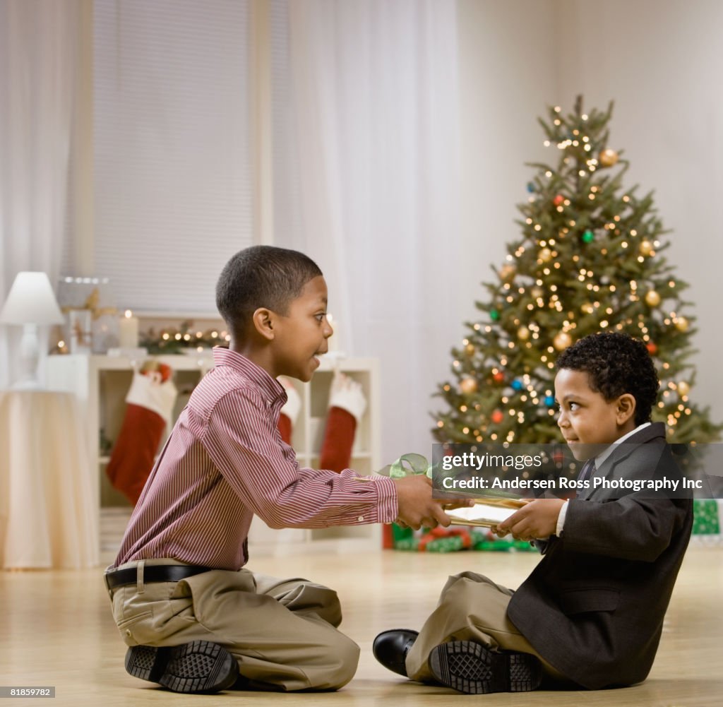 Mixed Race brothers fighting over Christmas gift