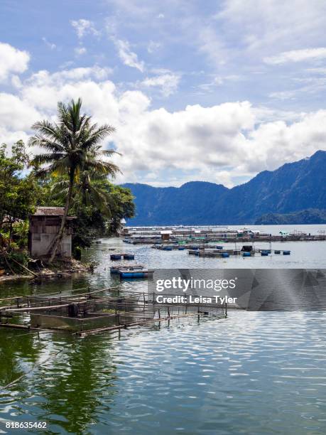 Fish farms along the shores of Lake Maninjau, a volcanic crater lake in West Sumatra, Indonesia. Industry along the lake was once based on tourism;...