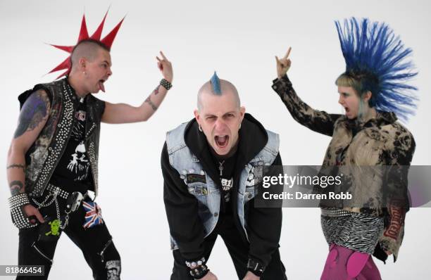 2.725 European Mohawk Stock Photos, High-Res Pictures, and Images ...