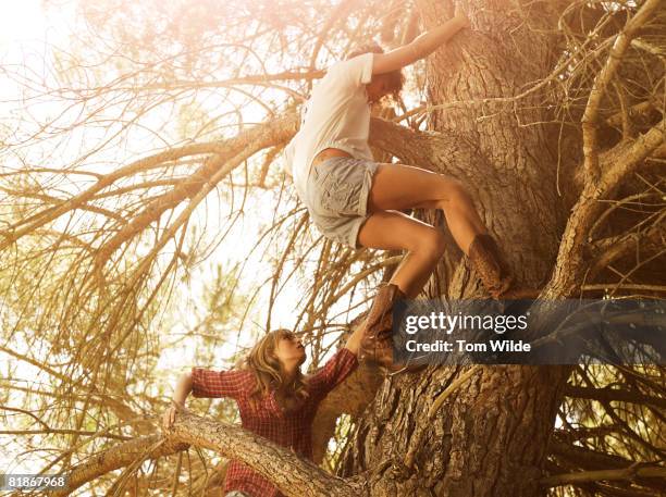 two girls climbing a tree - wonderlust2015 stock pictures, royalty-free photos & images
