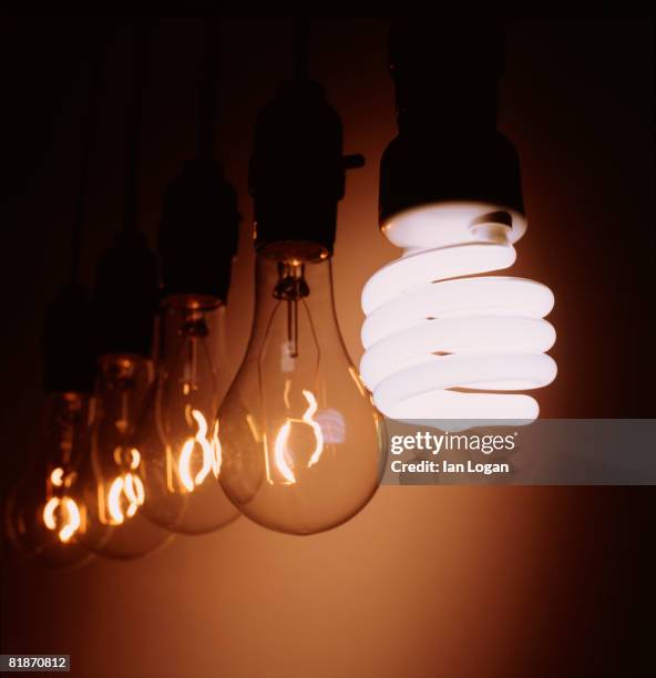 new fluorescent bulb with 4 filament type bulbs - lightbulbs in a row stock pictures, royalty-free photos & images