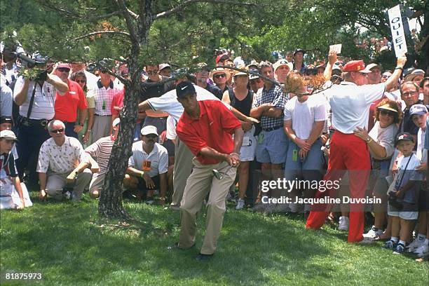 Golf: Byron Nelson Classic, Tiger Woods in action from rough on Sunday, View of fans in gallery, Irving, TX 5/15/1997--5/18/1997
