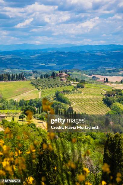 cultivated fields in tuscany - san gimignano stock pictures, royalty-free photos & images