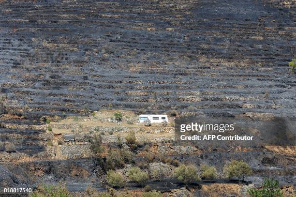 This photograph taken on July 19 shows a caravan surrounded by burned landscape in the village of Zrnovnica, near the Adriatic coastal town of Split....