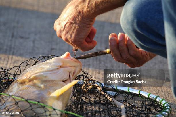 fisherman retrieves his catch from the fishing net - amusement park ohio stock-fotos und bilder