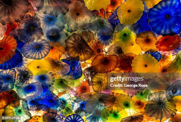 Celing of glass jellyfish by artist Dale Chihuly in the lobby of the Bellagio Hotel & Casino is viewed on July 13, 2017 in Las Vegas, Nevada. Despite...