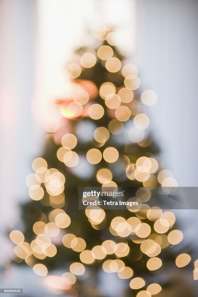 Defocused shot of Christmas tree