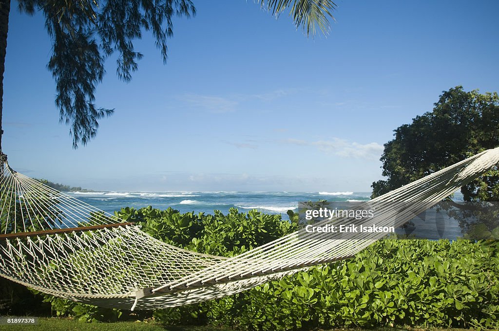 Hammock with ocean in background, Oahu, Hawaii, United States