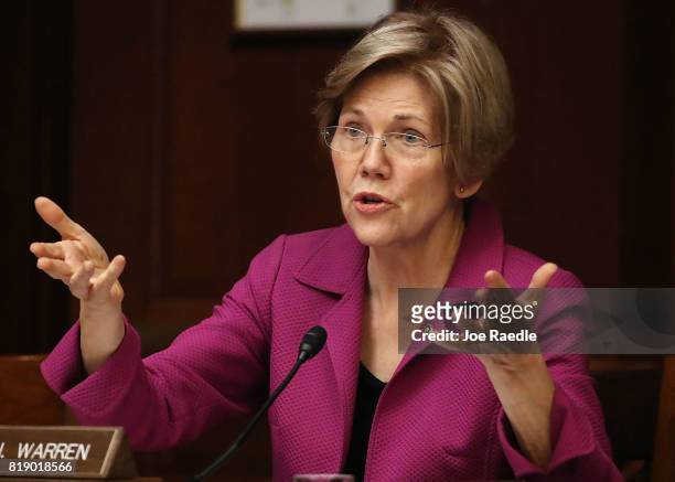 Sen. Elizabeth Warren speaks during the Democratic Policy and Communications Committee hearing in the Capitol building on July 19, 2017 in...