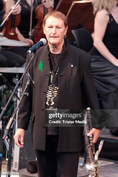 Haindling perform on stage during the Thurn & Taxis Castle Festival 2017 on July 19, 2017 in Regensburg, Germany.