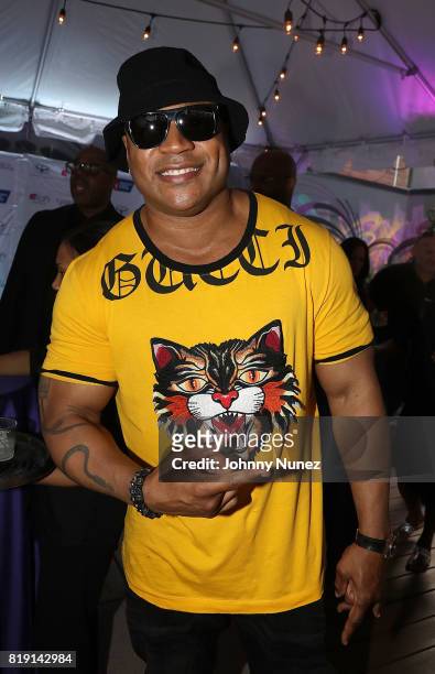 Cool J attends A Toast To Summer Hosted By Simone I. Smith at Aloft LIC,NY Hotel on July 19, 2017 in New York City.