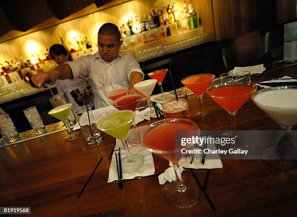 General view at the after party for the 3rd Annual 'VH1 Rock Honors' at the W Hotel on July 12, 2008 in Los Angeles, California.