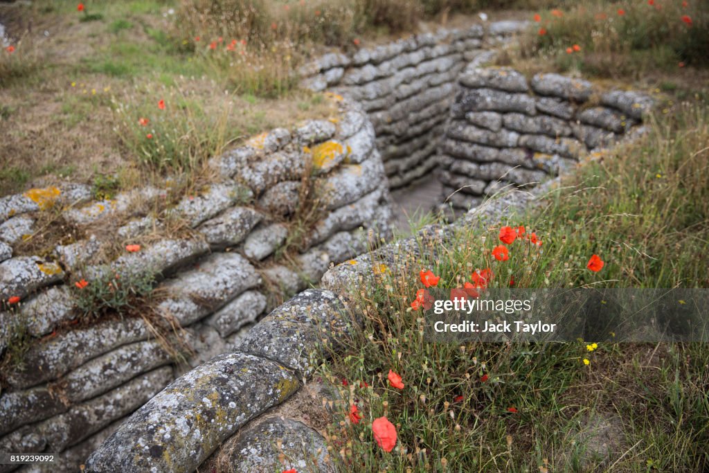 Poppies Bloom In Flanders Fields