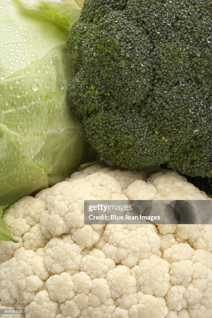Cauliflower, broccoli and lettuce