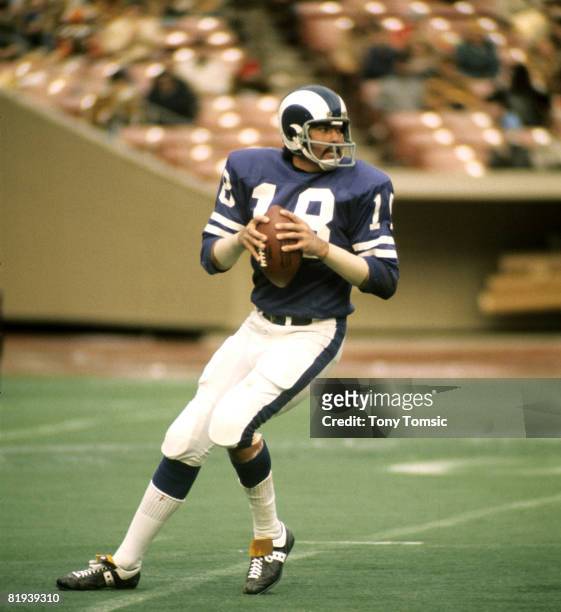 Los Angeles Rams quarterback Roman Gabriel drops back to pass during a 24-14 loss to the St. Louis Cardinals on December 10 at Busch Memorial Stadium...