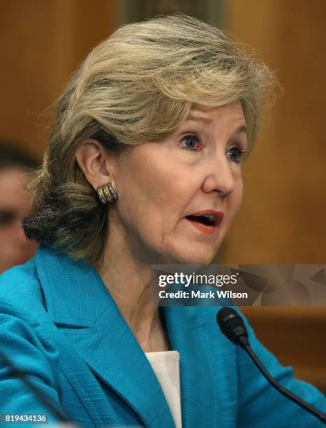 Former Sen. Kay Bailey Hutchison testifies during her confirmation hearing to be United States permanent representative on the Council of the North...