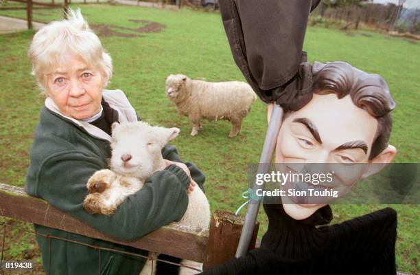 Moira Linaker holds a pedigree Ryeland lamb, next to an effigy of Prime Minister Tony Blair, which she uses as scarecrow March 29 ,2001 on her...