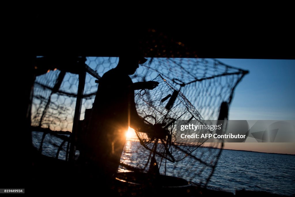 US-ECONOMY-LIFESYTLE-CRABS