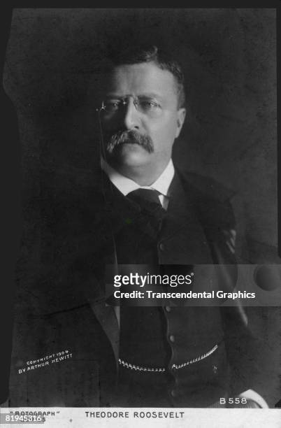 Waist-up portrait of US president Theodore Roosevelt, Photograph was taken by Arthur Hewitt