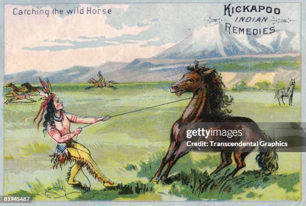 Color lithographic trade card illustration depicting a Native American man capturing a wild horse with a rope, The copy states 'Catching the Wild...