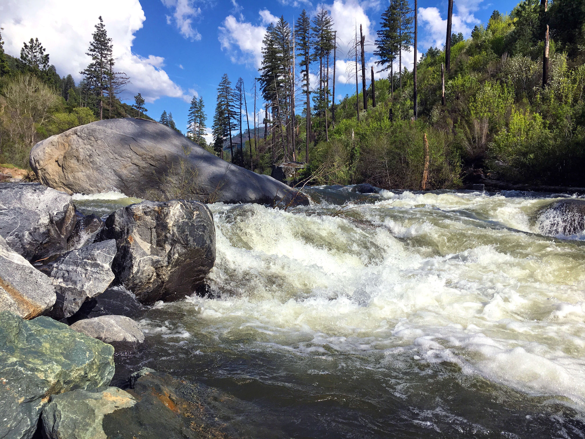 maid service El Dorado Springs