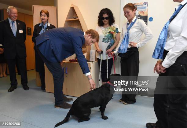 Prince Harry pets assistance dog Hope during a visit to Headway, a Charity supporting brain injuries on July 20, 2017 in Ipswich, England.