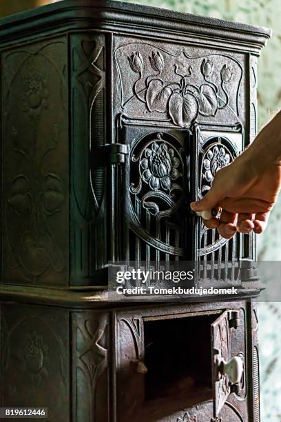 oven - cast iron stock pictures, royalty-free photos & images