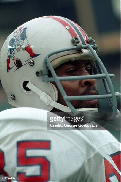 Defensive lineman Julius Adams of the New England Patriots looks on from the sideline during a game against the Pittsburgh Steelers at Three Rivers...