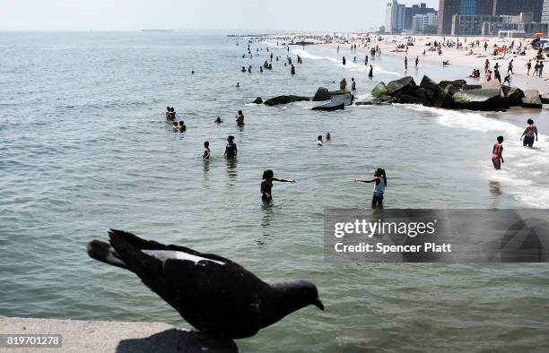 People enjoy a summer day at the beach at Coney Island on July 20, 2017 in the Brooklyn borough of New York City. Throughout the region people...