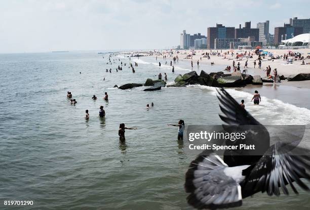 People enjoy a summer day at the beach at Coney Island on July 20, 2017 in the Brooklyn borough of New York City. Throughout the region people...