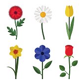 Flowers flat icons
