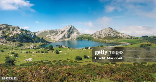 lake in picos de europa - asturias stock pictures, royalty-free photos & images