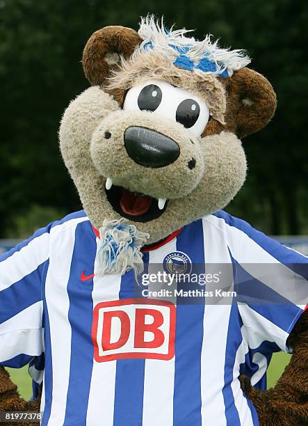 Herthinho poses during the Hertha BSC Berlin Team Presentation on July 18, 2008 in Berlin, Germany.