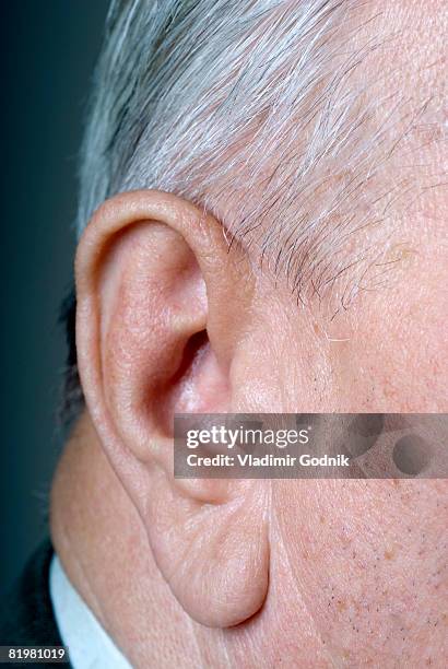 portrait of a senior adult man?s ear, detail, close up - earlobe stockfoto's en -beelden