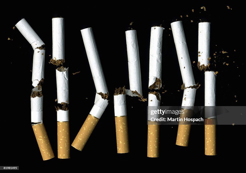 A row of broken cigarettes