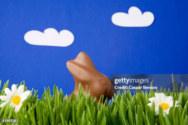 a chocolate easter bunny in grass - chocolate bunny stock-fotos und bilder