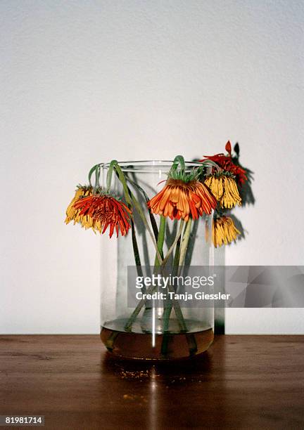 wilting flowers in a vase - decay fotografías e imágenes de stock