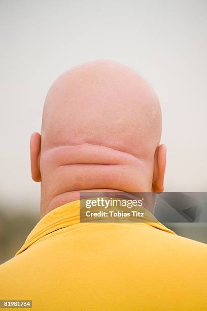 the back of a man?s shaved head - completely bald bildbanksfoton och bilder