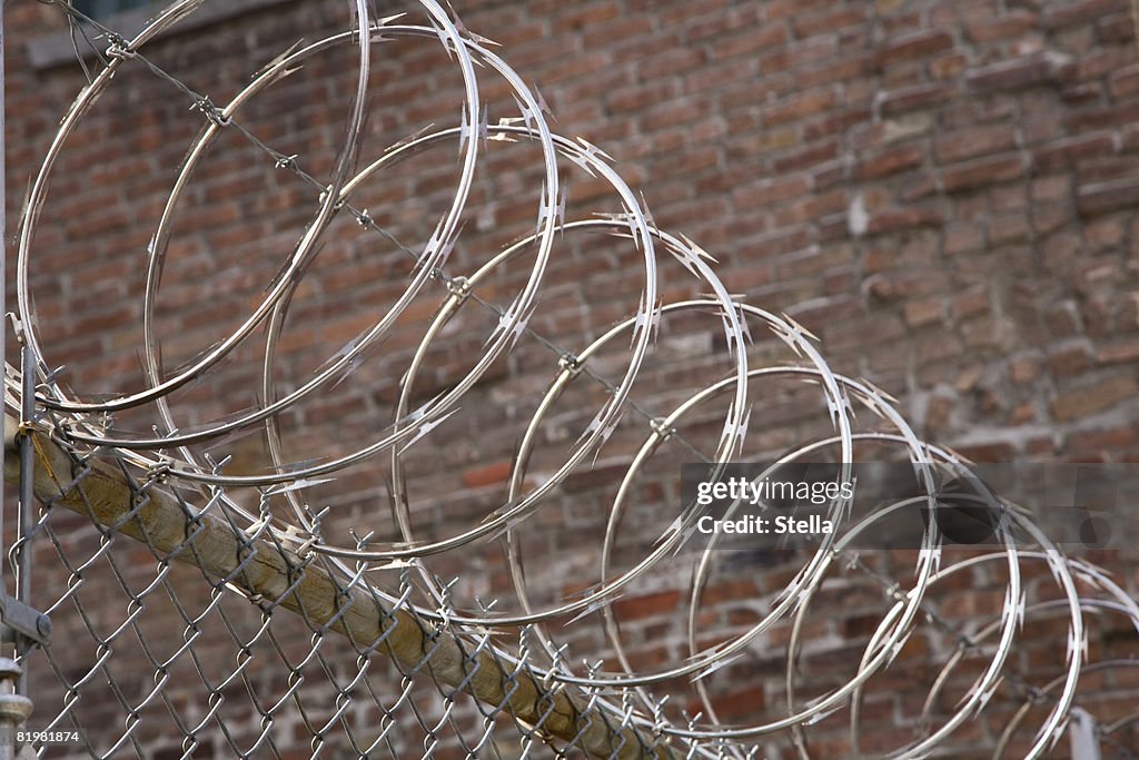 Razor wire atop a fence