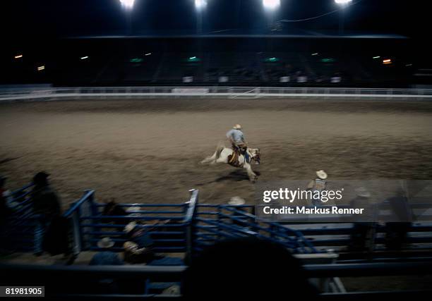 rodeo rider performing at a rodeo, cody, wyoming, usa - cody stock-fotos und bilder