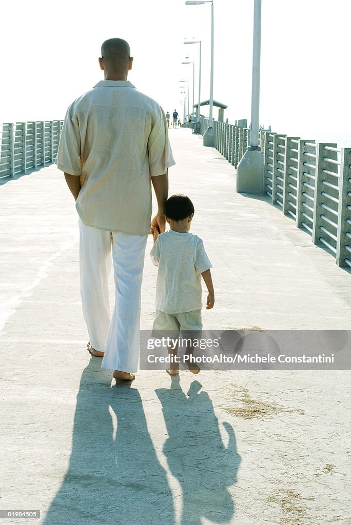 Father and son walking together, holding hands, rear view