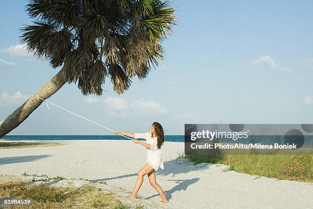 woman pulling palm tree with rope - perspectiva forzada fotografías e imágenes de stock