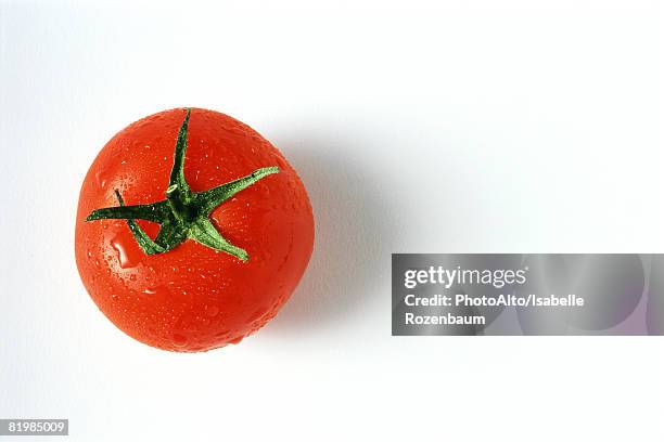 tomato with droplets of water, close-up, viewed from directly above - tomate fotografías e imágenes de stock