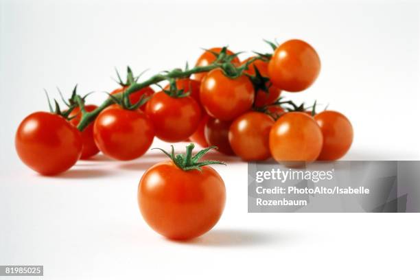 vine tomatoes, close-up - tomate cerise photos et images de collection