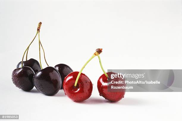 black and red cherries with water droplets, close-up - cherry foto e immagini stock