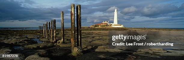 st. mary's lighthouse and st. mary's island in evening light, near whitley bay, tyne and wear, england, united kingdom, europe - insel st mary's island stock-fotos und bilder