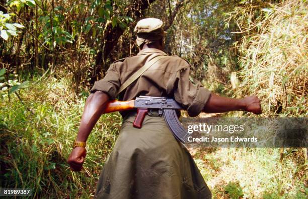 mgahinga gorilla national park, uganda. - uganda stock pictures, royalty-free photos & images