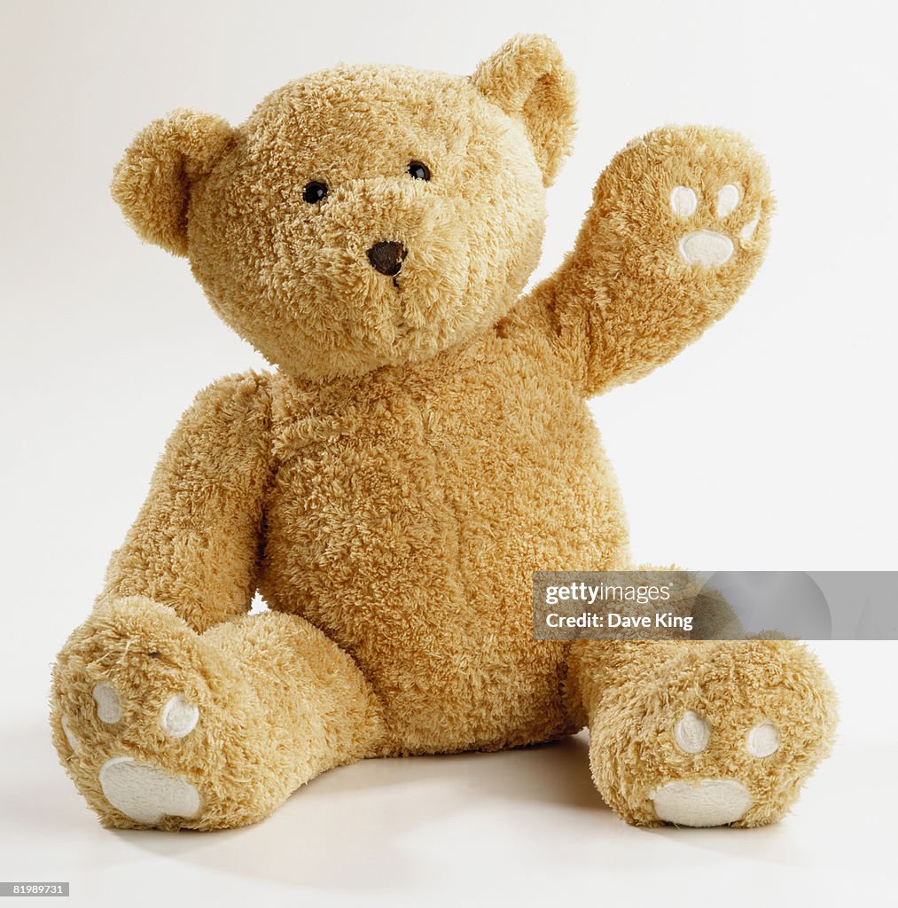 Teddy bear waving