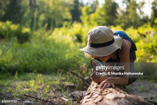 boy with a magnifying glass in a forest - child magnifying glass stock pictures, royalty-free photos & images