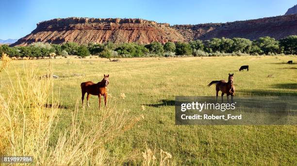 Redd Ranches Utah 177 Red Rock Ranch Stock Photos, High-Res Pictures, and Images - Getty ...